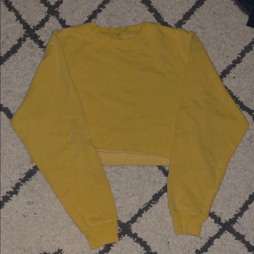 brandy melville (john galt) cropped sweatshirt!!